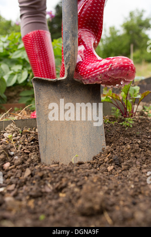 Femme portant des bottes en caoutchouc à l'aide de pelle Banque D'Images