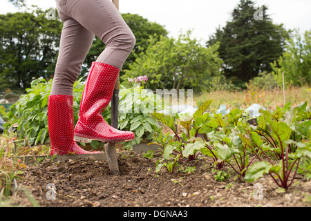 Femme portant des jeans et des bottes en caoutchouc rouge dans son jardin Banque D'Images