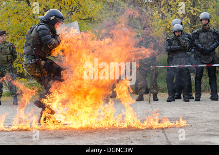 Des soldats de la KFOR et les membres de l'État de droit au Kosovo (EULEX) a mené différentes voies de formation au Camp Vrelo 15 octobre dans le cadre de la 3-day "Sabre" d'argent l'exercice de formation visant à améliorer les capacités de contrôle de foule et l'émeute et deve Banque D'Images