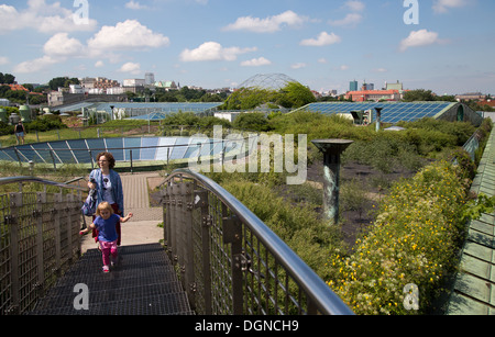 Varsovie, Pologne, le jardin sur le toit de la bibliothèque de l'Université de Varsovie Banque D'Images