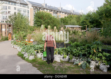 Berlin, Allemagne, le jardinage urbain : dans le Princess gardens at Moritzplatz Banque D'Images