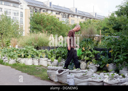 Berlin, Allemagne, le jardinage urbain : dans le Princess gardens at Moritzplatz Banque D'Images