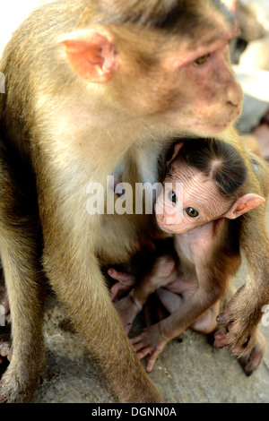 La mère et l'enfant en étreinte. L'amour vrai de la nature. Banque D'Images