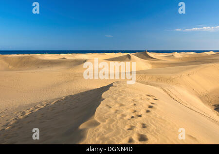 Dunes de sable de Maspalomas, Gran Canaria, Îles Canaries, Espagne Banque D'Images