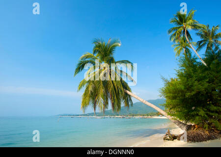 La plage de Lamai, l'île de Ko Samui, Thaïlande, Asie Banque D'Images