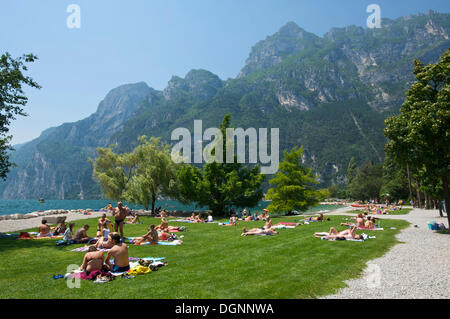 Plage de Riva del Garda sur le lac de Garde, le Trentin, Italie, Europe Banque D'Images