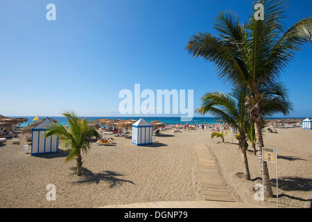 Plage, Playa del Duque, Costa Adeje, Tenerife, Espagne, Europe Banque D'Images