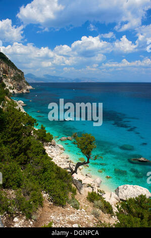 Cala Goloritze, Golfo di Orosei, Parco Nazionale del Gennargentu e Golfo di Goloritze, Sardaigne, Italie, Europe Banque D'Images