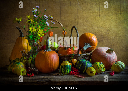 Halloween automne still life with Pumpkins, Rowan et coings Banque D'Images