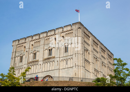L'Angleterre, l'East Anglia, Norwich, Norfolk, château de Norwich Banque D'Images