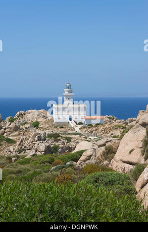 Phare de Capo Testa, Santa Teresa Gallura, Sardaigne, Italie Banque D'Images