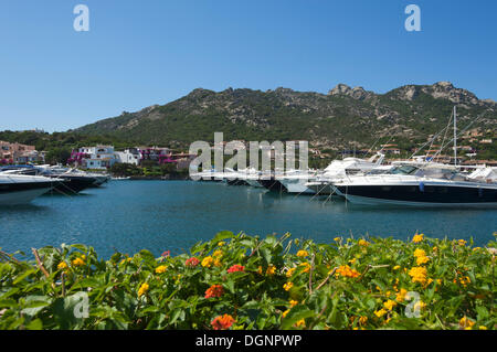 Marina, Porto Cervo, Costa Smeralda, Sardaigne, Italie Banque D'Images