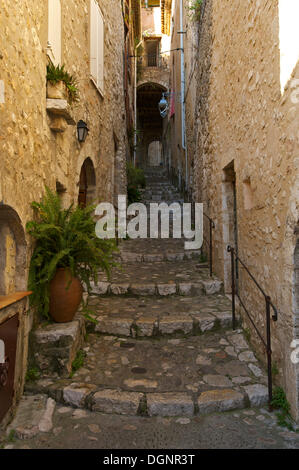 Ruelle dans le centre historique de la ville de Saint-Paul-de-Vence, Saint-Paul-de-Vence, Département des Alpes-Maritimes, région Banque D'Images