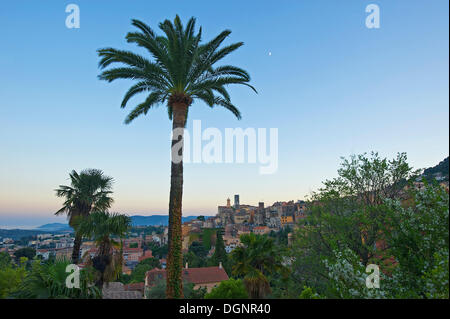 Centre-ville historique de Grasse avec des palmiers, Grasse, Département des Alpes-Maritimes, région Provence-Alpes-Côte d'Azur Banque D'Images