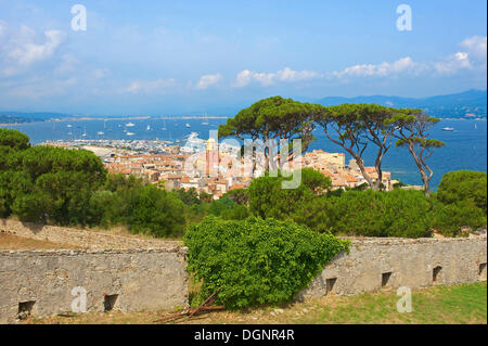 Vue sur la ville à partir de la citadelle, de la Côte d'Azur, Saint-Tropez, Var, Région Provence-Alpes-Côte d'Azur, France Banque D'Images