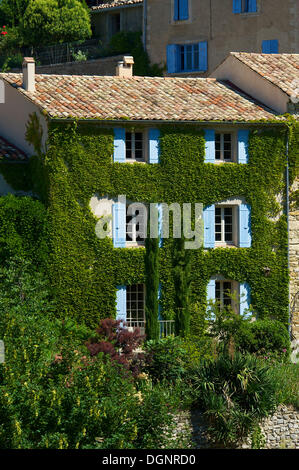 Maison couverte de lierre dans un village, Provence, Aurel, Département Vaucluse, Provence-Alpes-Côte d'Azur, France Banque D'Images