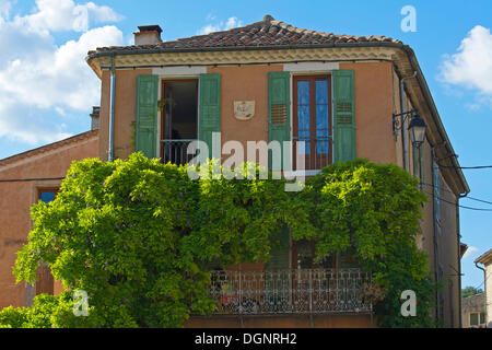 Vieille maison couverte de glycine ou glycines, riez, Provence, région Provence-Alpes-Côte d'Azur, France Banque D'Images