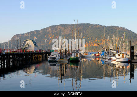 Cowichan Bay Marina, Cowichan Bay, île de Vancouver, Colombie-Britannique, Canada Banque D'Images