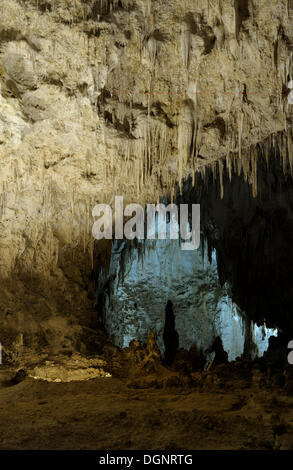 Stalagmites et stalactites dans la Grande Salle, Carlsbad Caverns National Park, New Mexico, USA Banque D'Images