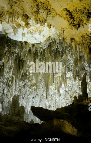 Stalagmites et stalactites dans la Grande Salle, Carlsbad Caverns National Park, New Mexico, USA Banque D'Images