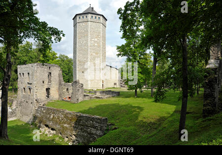 Musée du château, ruines du château de l'Ordre des Chevaliers teutoniques, Tall Hermann, Paide, l'Estonie, Pays Baltes Banque D'Images