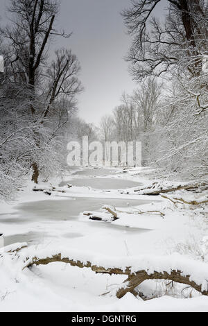 Paysage d'hiver sur le Danube, les plaines du Danube, Mühlleiten, Basse Autriche, Autriche Banque D'Images