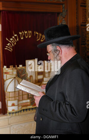 Juif orthodoxe priant devant le cabinet de la Torah à la partie couverte du Mur occidental, Mur des lamentations, Vieille Ville, Quartier Arabe Banque D'Images