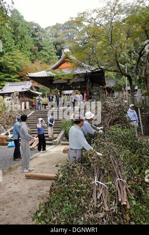 Matsuri en automne, festival de sanctuaire Shinto, où d'énormes torches sont allumées, ici on construit des torches, les branches sont placées Banque D'Images