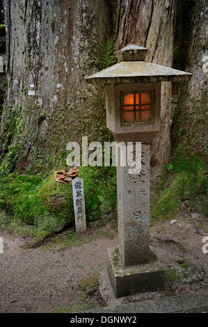 La lanterne de pierre éclairé, Okuno-in, le cimetière le plus célèbre au Japon, UNESCO World Heritage Site, Koya-san, Wakayama, près d'Osaka Banque D'Images