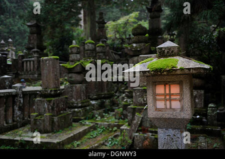 La lanterne de pierre éclairé, Okuno-in, le cimetière le plus célèbre au Japon, UNESCO World Heritage Site, Koya-san, Wakayama, près d'Osaka Banque D'Images