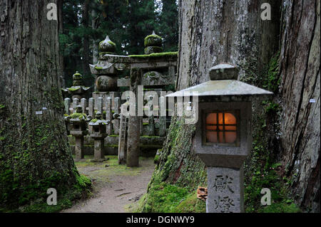 La lanterne de pierre éclairé, Okuno-in, le cimetière le plus célèbre au Japon, UNESCO World Heritage Site, Koya-san, Wakayama, près d'Osaka Banque D'Images