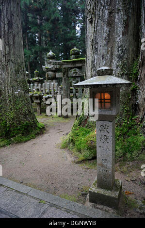 La lanterne de pierre éclairé, Okuno-in, le cimetière le plus célèbre au Japon, UNESCO World Heritage Site, Koya-san, Wakayama, près d'Osaka Banque D'Images