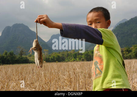 Boy holding laotien un rat par la queue, montagnes karstiques à l'arrière, près de Vang Vieng, province de Vientiane, Laos Banque D'Images