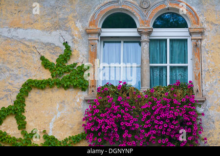 Alpinistes sur un mur de la maison, de Caldaro an der Weinstrasse, Tyrol du Sud, Italie, Europe Banque D'Images