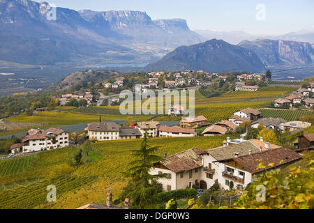 Vignes, collection automne couleurs de Tramin, Tyrol du Sud, Italie, Europe Banque D'Images