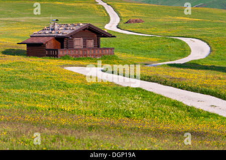 Cabane en bois sur l'Alpe di Siusi alp au-dessus de l'ERSE, province de Bolzano-Bozen, Italie, Europe Banque D'Images