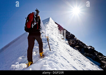 D'alpiniste Hochfeiler ascendant le long de la crête du sommet de montagne, Pfitschtal, province du Tyrol du Sud, Trentino-Alto Adige Banque D'Images