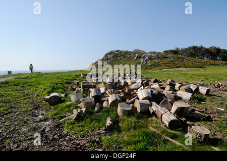 Jeune femme dans cadre paradisiaque des îles Cies (Islas Cies), réserve naturelle en Galice, Espagne Banque D'Images