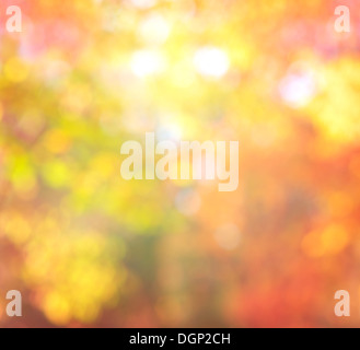 Arrière-plan flou abstrait couleurs tendance Automne Bokeh avec naturel avec feux de soleil Banque D'Images