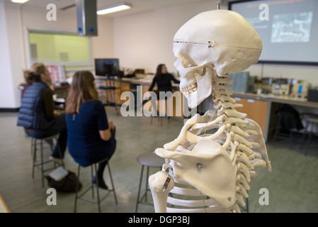 Un anthropologue judiciaire des conférences aux étudiants de l'Institut de médecine légale de l'Université de Cranfield, Shrivenham, près de Swindon UK 20 Banque D'Images