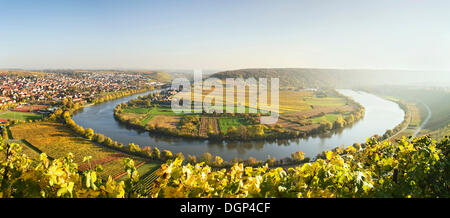 Mundelsheim, boucle de la rivière Neckar, automne, Bade-Wurtemberg Banque D'Images