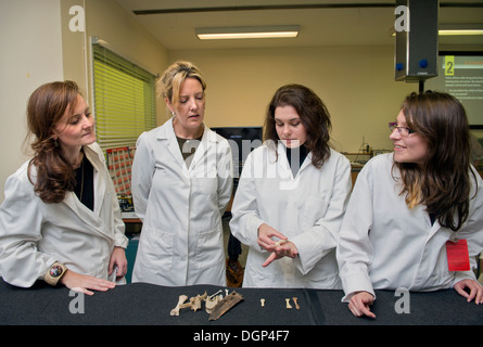 Les élèves acquièrent des connaissances sur l'identification de l'os avec l'anthropologue judiciaire Dr Anna Williams (centre droit) à l'Institut médico-légal Banque D'Images