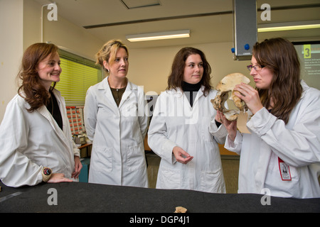 Les élèves acquièrent des connaissances sur l'identification de l'os avec l'anthropologue judiciaire Dr Anna Williams (centre droit) à l'Institut médico-légal Banque D'Images