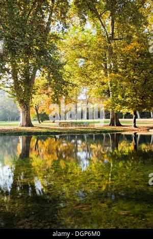 Les arbres d'automne Rosenstein, Stuttgart, Bade-Wurtemberg Banque D'Images