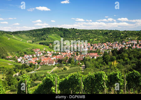 Uhlbach entouré de vignes près de Stuttgart, Bade-Wurtemberg Banque D'Images