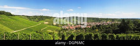 Uhlbach entouré de vignes près de Stuttgart, Bade-Wurtemberg Banque D'Images