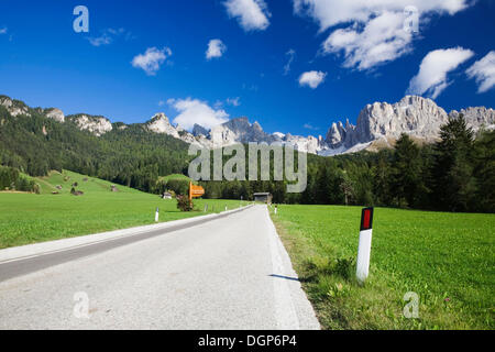 Route de Saint Cipriano en direction de la montagne, Groupe de Rosengarten, Dolomites, Italie Banque D'Images