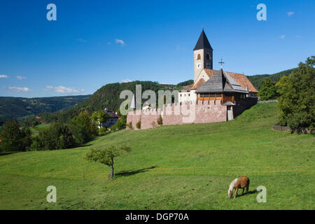 Pony dans un pré, Seis am Schlern, Siusi allo Sciliar, Dolomites, Trentino-Alto Adige, Italie, Europe Banque D'Images