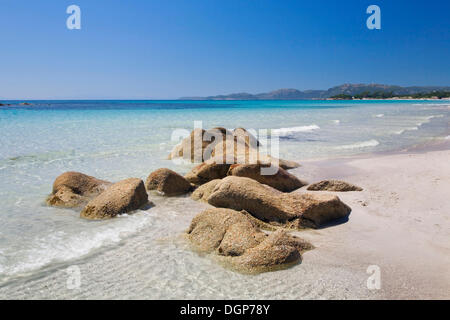 La plage de Palombaggia, Corse, France, Europe Banque D'Images