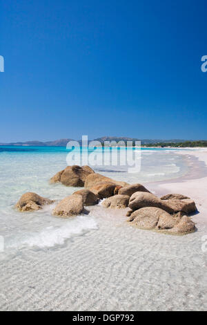 La plage de Palombaggia, Corse, France, Europe Banque D'Images